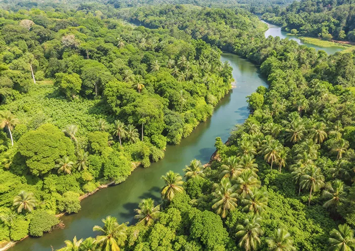 Sri Lanka Home